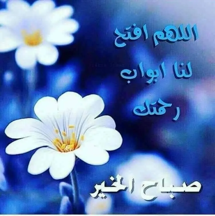 Manar Mohamed